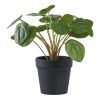 Pilea műnövény, zöld 28 cm