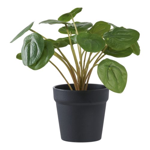 Pilea műnövény, zöld 28 cm