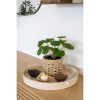 Pilea műnövény, zöld 28 cm