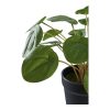 Pilea műnövény, zöld 28 cm