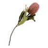 Protea művirág csokor, rózsaszínű mix 74 cm