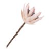 Protea művirág csokor, bordómix 65 cm