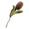 Protea művirág csokor, bordómix 65 cm