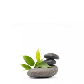 Wellis wellness & spa