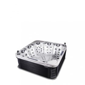 Wellis swim spa
